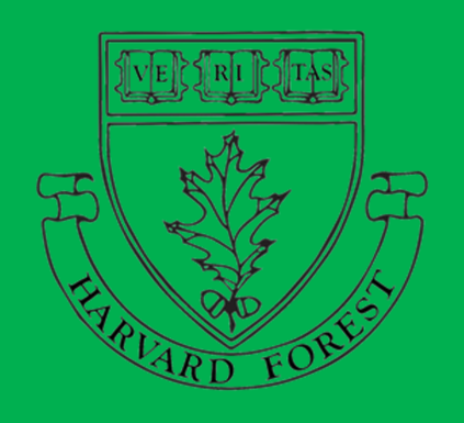 Harvard Forest Logo