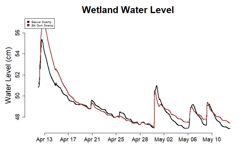 6. Wetland Water Level