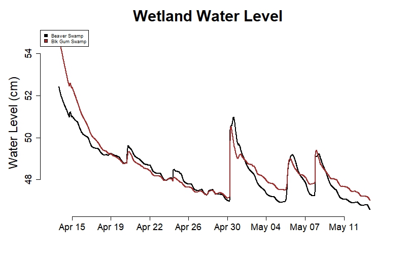 6. Wetland Water Level